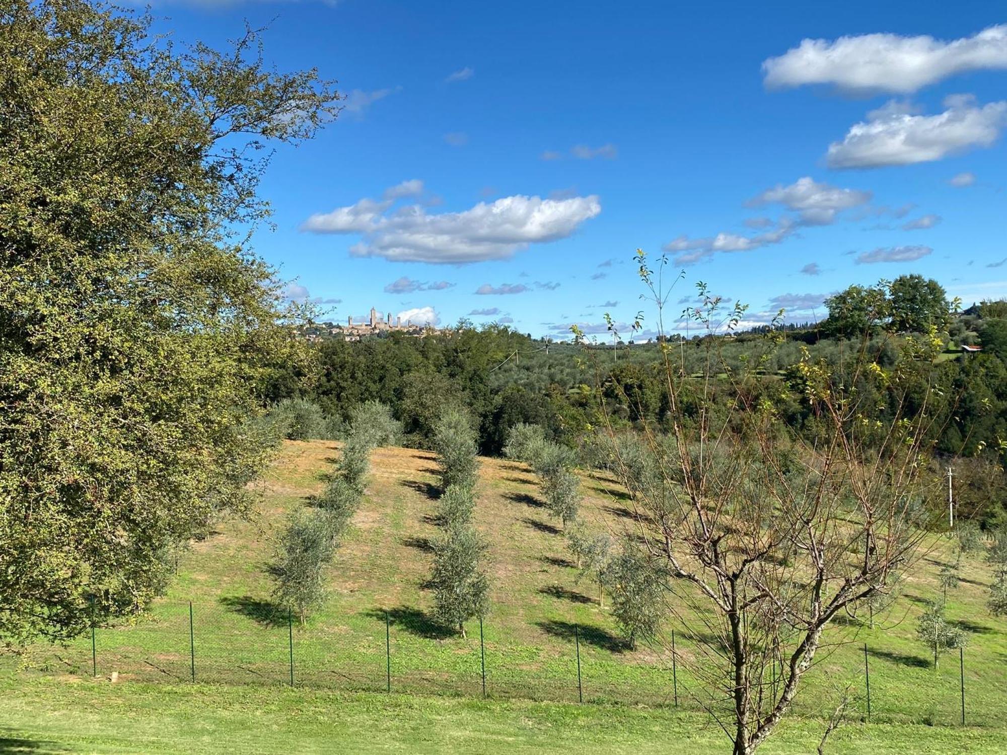 Podere Casanuova San Gimignano Zewnętrze zdjęcie