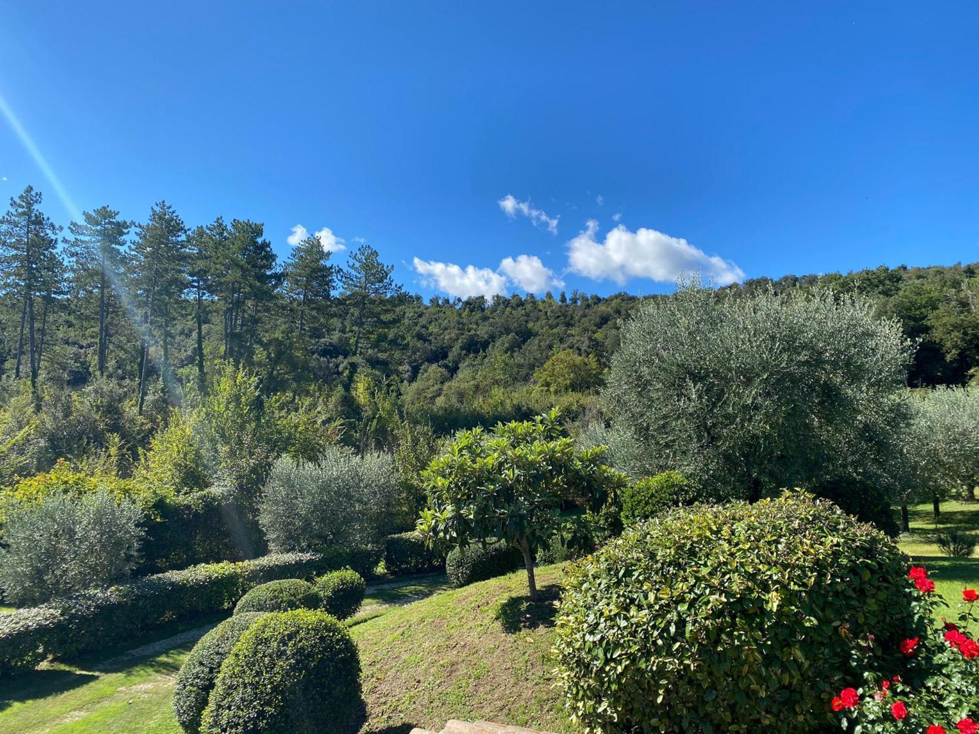 Podere Casanuova San Gimignano Zewnętrze zdjęcie