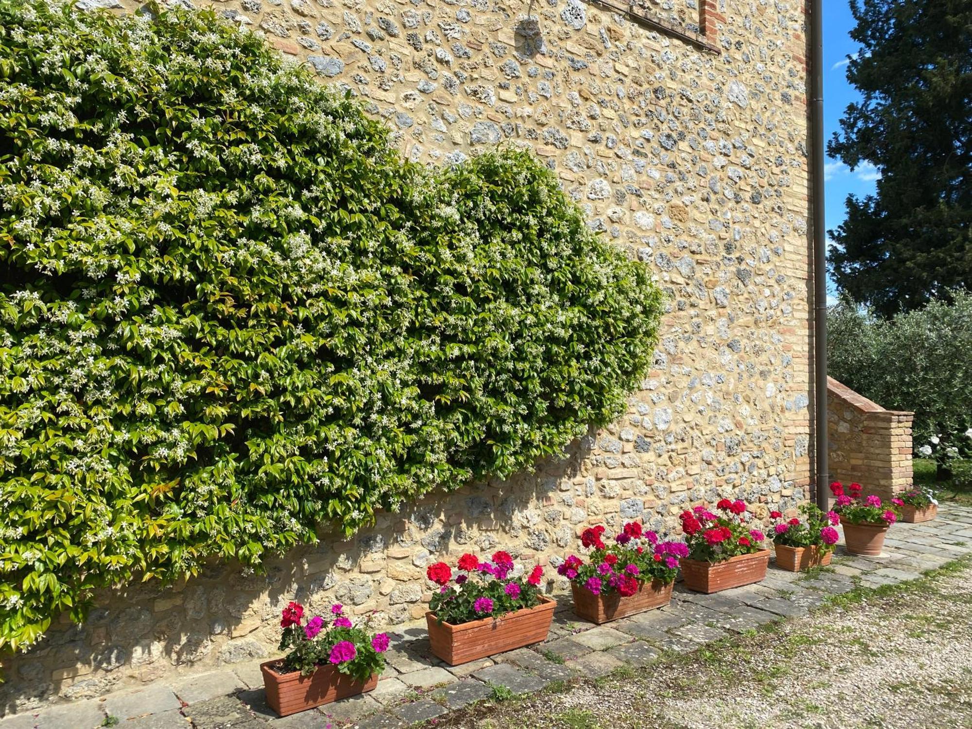 Podere Casanuova San Gimignano Zewnętrze zdjęcie